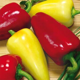 Насіння перцю Айвенго Nasko від 500 шт, Фасовка: Проф упаковка 500 шт | Agriks