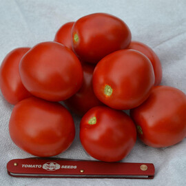 Насіння томату детермінантного 2206 F1 Heinz від 500 шт | Agriks
