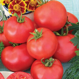 Насіння томату детермінантного Баллада Nasko від 1 000 шт, Фасовка: Проф упаковка 1 000 шт | Agriks