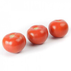 Насіння томату індетермінантного Аламіна F1 Rijk Zwaan від 100 шт, Фасовка: Проф упаковка 100 шт | Agriks
