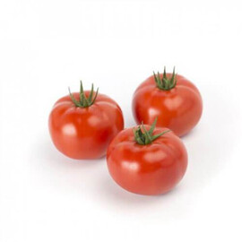 Насіння томату індетермінантного Васанта F1 Rijk Zwaan від 100 шт, Фасовка: Проф упаковка 100 шт | Agriks