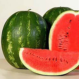 Каристан F1 Syngenta семена арбуза, Фасовка: Мини упаковка 10 шт | Agriks