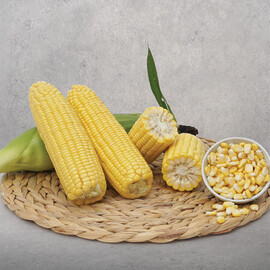 Баха F1 May Seeds насіння кукурудзи цукрової (солодкої) Sh2 | Agriks