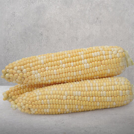 Майбіко F1 May Seeds насіння кукурудзи цукрової (солодкої) Sh2, Фасовка: Проф упаковка 5 000 шт | Agriks