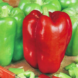 Ожаровский Moravoseed семена перца, Фасовка: Мини упаковка 5 г | Agriks