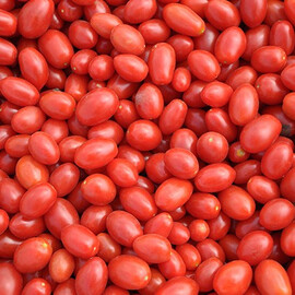 Насіння томату детермінантного Дольчесіо F1 Еsasem від 1 000 шт, Фасовка: Проф упаковка 1 000 шт | Agriks