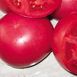 Насіння томату детермінантного Розаліза F1 Seminis 1 000 шт, Фасовка: Проф упаковка 1 000 шт | Agriks