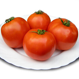 Насіння томату детермінантного Таня F1 Seminis 1 000 шт, Фасовка: Проф упаковка 1 000 шт | Agriks