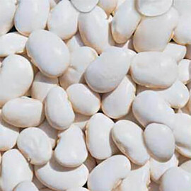 Семена фасоли Белая овощная Hortus от 250 г, Фасовка: Проф упаковка 250 г | Agriks