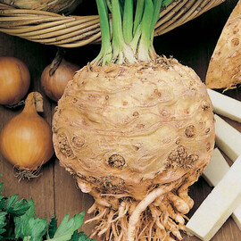 Семена сельдерея Пражский гигант Hortus 500 г, Фасовка: Проф упаковка 500 г | Agriks