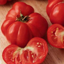 Насіння томату детермінантного Фіорентинський Hortus 500 г, Фасовка: Проф упаковка 500 г | Agriks