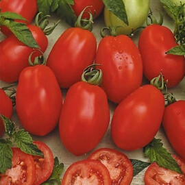 Насіння томату детермінантного Ріо Гранде Hortus 500 г (банка), Фасовка: Проф упаковка 500 г | Agriks