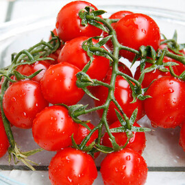 Насіння томату Сомма F1 Nunhems 1 000 шт | Agriks