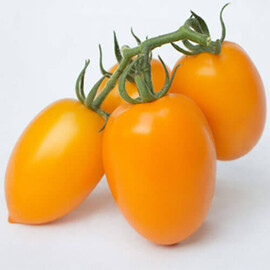 Насіння томату індетермінантного Бенігара (КС 1430) F1 Kitano Seeds від 250 шт, Фасовка: Проф упаковка 250 шт | Agriks