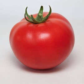 Насіння томату індетермінантного КС 21 F1 Kitano Seeds від 100 шт, Фасовка: Проф упаковка 100 шт | Agriks