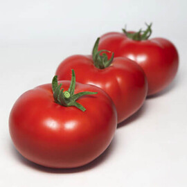Насіння томату індетермінантного КС 301 F1 Kitano Seeds від 100 шт, Фасовка: Проф упаковка 100 шт | Agriks