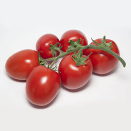 Насіння томату індетермінантного Банті F1 (КС 3819) Kitano Seeds від 100 шт, Фасовка: Проф упаковка 500 шт | Agriks