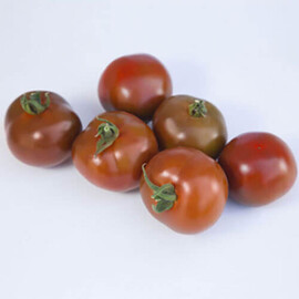 Насіння томату індетермінантного КС 3900 F1 Kitano Seeds від 250 шт, Фасовка: Проф упаковка 500 шт | Agriks