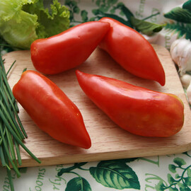 Насіння томату індетермінантного Сан Марцано Hortus 500 г, Фасовка: Проф упаковка 500 г | Agriks