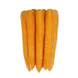Насіння моркви Джерада F1 Rijk Zwaan від 25 000 шт (1,6-1,8), Фасовка: Проф упаковка 25 000 шт (1,8 - 2,0) | Agriks