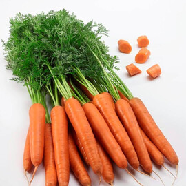 Семена моркови Титан F1 Spark Seeds 250 000 шт (2,0-2,4), Фасовка: Проф упаковка 250 000 шт (2,0-2,4) | Agriks