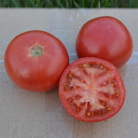Насіння томату індетермінантного 1810 F1 Lark Seeds від 250 шт, Фасовка: Проф упаковка 250 шт | Agriks