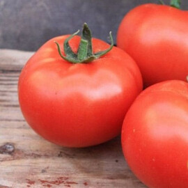 Насіння томату Хіларіо F1 Seminis від 250 шт, Фасовка: Міні упаковка 250 шт | Agriks