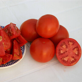 Насіння томату Шеді Леді F1 Nunhems від 10 шт, Фасовка: Міні упаковка 10 шт | Agriks