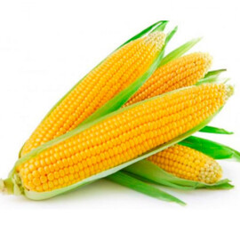 Насіння кукурудзи цукрової Турбін F1 Clause 5 000 шт, Фасовка: Проф упаковка 5 000 шт | Agriks