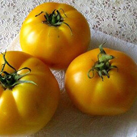 Насіння томату індетермінантного TС 03-0715 F1 Solare Sementi 100 шт, Фасовка: Середня упаковка 100 шт | Agriks