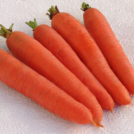Насіння моркви Цидера Moravoseed 500 гр, Фасовка: Проф упаковка 500 г | Agriks
