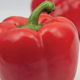 Семена перца Экла F1 Syngenta от 10 шт, Фасовка: Мини упаковка 10 шт | Agriks