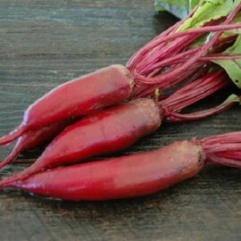 Семена свеклы Алексис Moravoseed 1 кг, Фасовка: Проф упаковка 100 г | Agriks