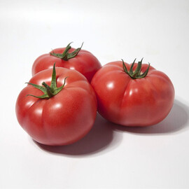 Семена томата индетерминантного КС 1157 F1 Kitano Seeds от 100 шт, Фасовка: Проф упаковка 100 шт | Agriks