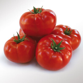 Насіння томату індетермінантного КС 206 F1 Kitano Seeds від 100 шт, Фасовка: Проф упаковка 100 шт | Agriks