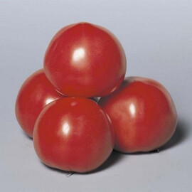 Насіння томату індетермінантного Пінк Парадайз F1 Sakata 500 шт, Фасовка: Проф упаковка 500 шт | Agriks