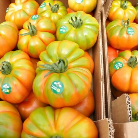 Насіння томату індетермінантного Єллоу Кой F1 Yuksel Tohum від 100 шт, Фасовка: Проф упаковка 100 шт | Agriks