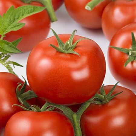 Насіння томату індетермінантного Ронда F1 Ergon від 100 шт, Фасовка: Проф упаковка 500 шт | Agriks