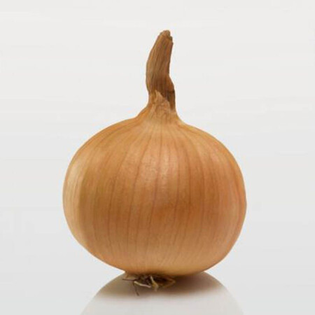 Лук севок (озимый) Радар 10 кг (8-21мм) Triumfus Onion Products, Фасовка: 10 кг сетка | Agriks