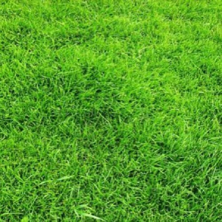 Газонная трава Универсальный 3 кг | Agriks