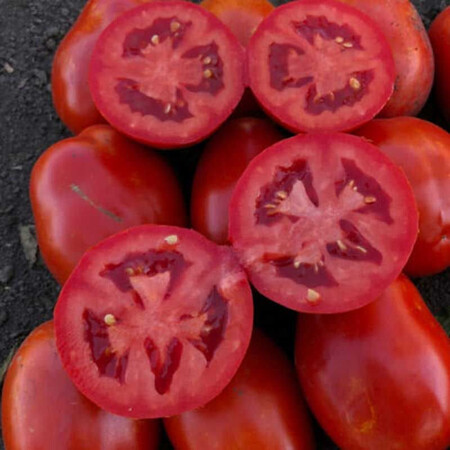 Насіння томату детермінантного 9985 F1 Spark Seeds 10 000 шт, Фасовка: Проф упаковка 5 000 шт | Agriks