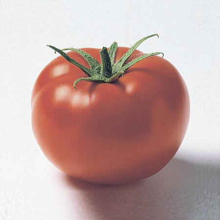 Насіння томату детермінантного Джем F1 Ergon від 100 шт, Фасовка: Проф упаковка 250 шт | Agriks
