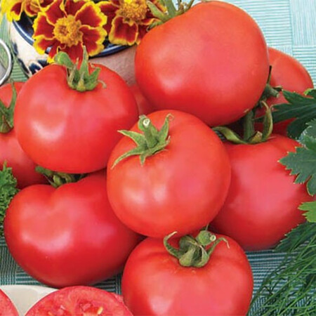 Семена томата детерминантного Баллада Nasko от 1 000 шт, Фасовка: Проф упаковка 500 г | Agriks
