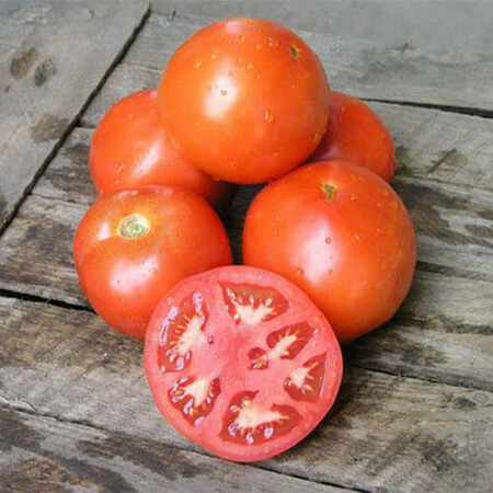 Насіння томату детермінантного Ламантін F1 Nunhems від 10 шт, Фасовка: Проф упаковка 1 000 шт | Agriks