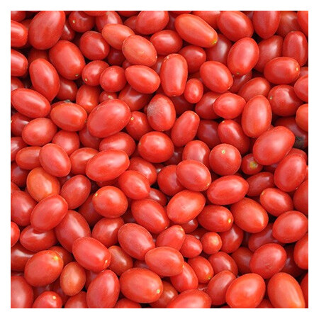 Насіння томату детермінантного Дольчесіо F1 Еsasem від 1 000 шт, Фасовка: Проф упаковка 1 000 шт | Agriks