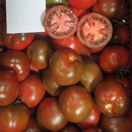 Насіння томату індетермінантного Бронсон F1 Clause від 250 шт | Agriks