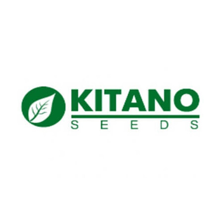 КС 765 F1 Kitano Seeds от 1 000 шт, Фасовка: Проф упаковка 10 000 шт | Agriks