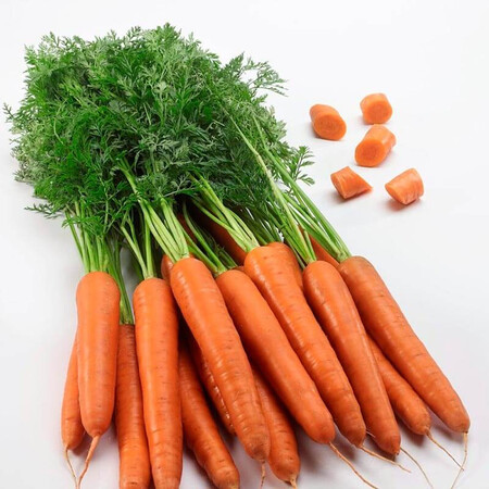Семена моркови Титан F1 Spark Seeds 250 000 шт (2,0-2,4), Фасовка: Проф упаковка 25 000 шт (1,8 - 2,0) | Agriks