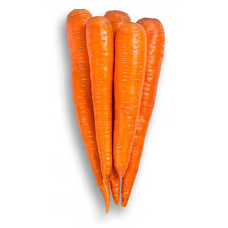 Насіння моркви Вармія F1 Rijk Zwaan від 25 000 шт (1,6-1,8), Фасовка: Проф упаковка 25 000 шт (1,6 - 1,8) | Agriks