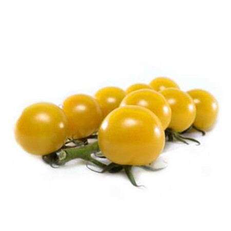 Насіння томату детермінантного КС 3670 F1 Kitano Seeds від 250 шт, Фасовка: Проф упаковка 1 000 шт | Agriks